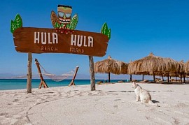 Hula hula   28$ / 25€